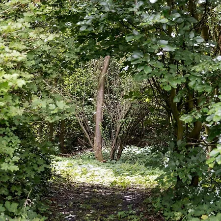 Fjord-close With Beautiful View Tatil Evi *